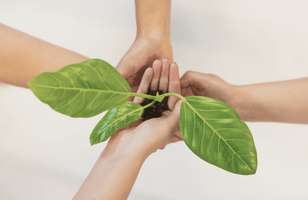 Hands holding leaves together