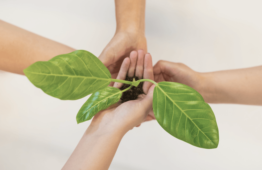 Hands holding leaves together